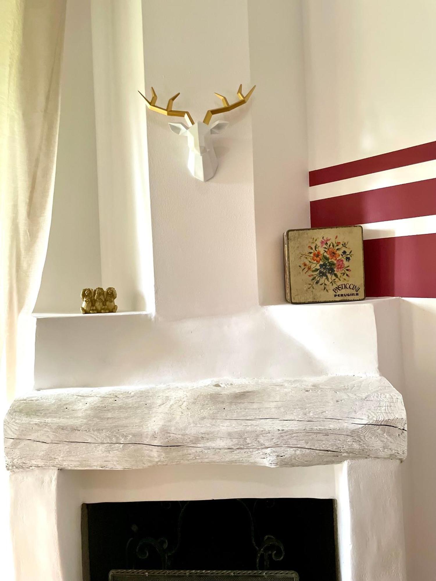 149 Borgo Ticino Suite Attico Di Lusso Con Terrazzo E Parking Privato 파비아 외부 사진